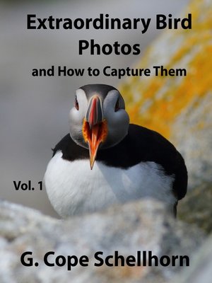 cover image of Extraordinary Bird Photos and How to Capture Them Volume 1